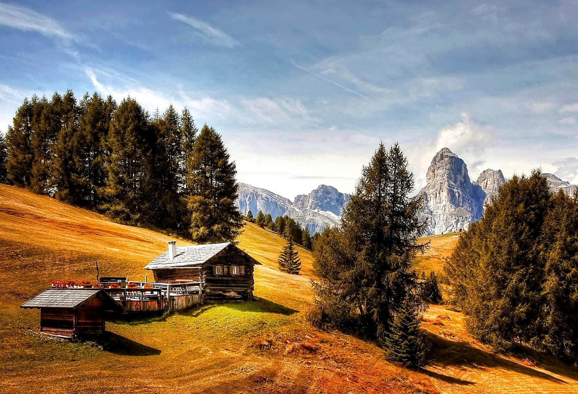 adventure-alm-cabin-371579